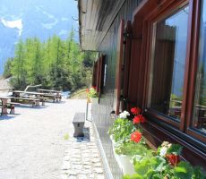 Mnogo bolje že izgleda naša Poštarica